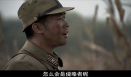 电视剧 雪豹,烽火岁月里的英雄传奇